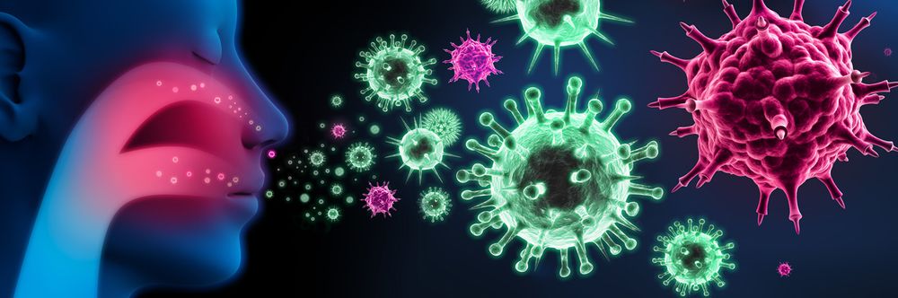 grippe virus transmission